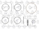 KIT RÉPARATION MOTEUR C-330 ORIGINAL URSUS URSUS 50000010Uphoto 4