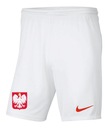 Шорты Nike Park POLSKA III Knit Jr.