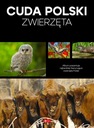 Чудеса Польши. Животные