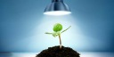 ЛАМПА ДЛЯ ВЫРАЩИВАНИЯ РАСТЕНИЙ ТЕПЛАЯ+ХОЛОДНАЯ 20W 300 LED