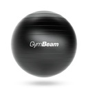 МЯЧ ДЛЯ ТРЕНИРОВОК FitBall, большой, 65 СМ + НАСОС