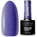 CLARESA HYBRID SPARKLE 12 PURPLE GLITTER НОВИНКА