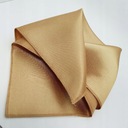 OLD ЗОЛОТО-БЕЖЕВЫЙ ГЛЯНЦЕВЫЙ КАРМАН Квадратный