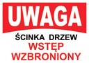 Tablica UWAGA ŚCINKA DRZEW WSTĘP WZBRONIONY TR-6