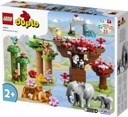 LEGO - DUPLO - ДИКИЕ ЖИВОТНЫЕ АЗИИ - 10974