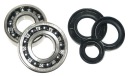 ВАЛ КОЛІНЧАСТИЙ УЩІЛЬНЮВАЧІ APRILIA SR ФОРСУНКА 00-03R 50  (17210844786) фото min 6