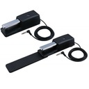 Роланд ДП-10