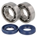 FŐTENGELY + csapágyak STIHL 017 018 MS170 MS180 csapszeg 10 mm helyettesítő Fajta hajtórúd