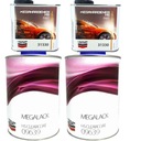 LECHLER MEGALACK HS VARNISH 2L + UTW 1L FAST