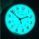 Zegarek męski Timex TW2V55000 Typ naręczny