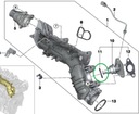 TESNENIE ORING SACEJ HADICE BMW 11618512681 Výrobca dielov BMW OE