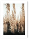 Картина-постер Boho СУХАЯ ТРАВА 21х30 см принт #20N