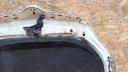 HOOD COVER ENGINE PERID RESTYLE SKODA FABIA II 2 ROOMSTER PRAKTIK WHITE  photo 12