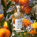 Guerlain Aqua Allegoria Mandarine Basilic 75ml toaletná voda žena EDT Značka Guerlain