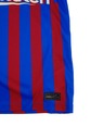 Mládežnícke tričko Nike FC Barcerolna 128-137cm Rukáv bez rukávov