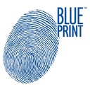 DISCOS DE FRENADO PARTE DELANTERA BLUE PRINT ADP154363 