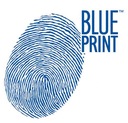 DISCOS DE FRENADO PARTE TRASERA BLUE PRINT ADB114391 