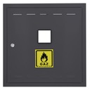 DRZWICZKI GAZOWE DRZWI REWIZYJNE 30x50 ANTRACYT