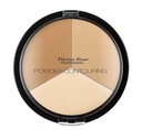 Палетка для контуринга PIERRE RENE POWDER CONTOUR