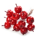 Яблоки на проволоке, пучок - большой, 10 см.