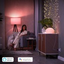 PHILIPS HUE Wtyczka Smart Inteligentne Gniazdko Rodzaj inny