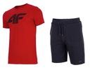 4F КОМПЛЕКТ МУЖСКОЙ ФУТБОЛКИ И ШОРТ