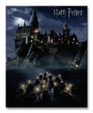 Harry Potter Szkoła Hogwart - Obraz na płótnie Stan opakowania brak opakowania
