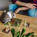  Sorozat Smart Games