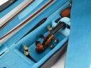 Артонус для скрипки легкая скрипка Cadem-Sport 21 CS-3
