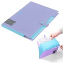 ПАПКА А4 С 5 ОТДЕЛЕНИЯМИ HAZE PURPLE BERLINGO