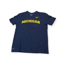 Мужская футболка Nike Michigan State NCAA L