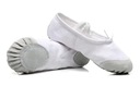 Танцевальные туфли для балерин, балетные цвета, размер 33, белые