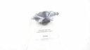 PIAGGIO ZIP 2 50 CALIPER INHIBITORY PERID  photo 4