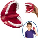 МОДЕЛЬ РОТОВОЙ ПОЛОСТИ с подвижным языком и зубами — ЛОГОПЕДИЯ MOT PUMP