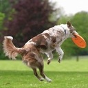 TRIXIE Frisbee mäkký aport disk aport hračka na aportovanie pre psa 23cm Hmotnosť (s balením) 0.25 kg