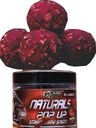 CARP GRAVITY POP UP NATURALS 18 STRAWBERRY SPIRIT