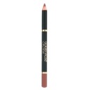 Golden Rose LIPLINER Перманентный карандаш для губ 222