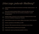 1x Hodvábny Vankúš Malbery 40x60 Hodváb Obliečky Výplňový materiál hodváb