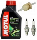 MOTUL OIL+PLUG+FILTER Quad ATV Barossa SMC Quadzilla CPI 250cc