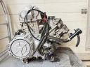 ДВИГУН КОМПЛЕКТНИЙ APRILIA RSV 1000 MILE 98-03 R  (18676825762) фото min 6