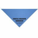 Шарф маленький треугольный 53х53х78 синий с логотипом