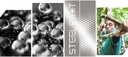 Steelshot Oceľové guličky do praku 8 mm 400 ks Kód výrobcu 080x400