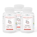 B17 Amygdalín 4mg EXTRAKT MARHULE PESTEKI 360kaps