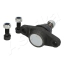 PIVOT SUSPENSIONS ASHIKAphoto 11