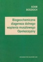 Biogeochemiczna diageneza dolnego wapienia