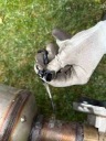 MERCEDES W247 2.0 CDI SILENCIEUX ÉCHAPPEMENT CATALYSEURphoto 13