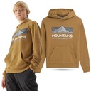 СВИТШОТ С КАПЮШОНОМ 4F ДЛЯ МАЛЬЧИКОВ AW23M634