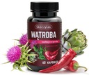 Skoczylas LIVER расторопша артишок для печени