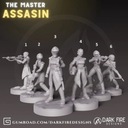 Модель Master Assassin подходит для игры StarWars Legion 2.