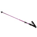 Трекінгові Палиці Багатоколірний